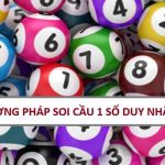 soi-cau-1-so-duy-nhat