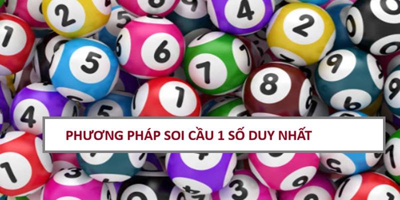 soi-cau-1-so-duy-nhat