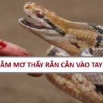 nam-mo-thay-ran-can-vao-tay-danh-so-gi
