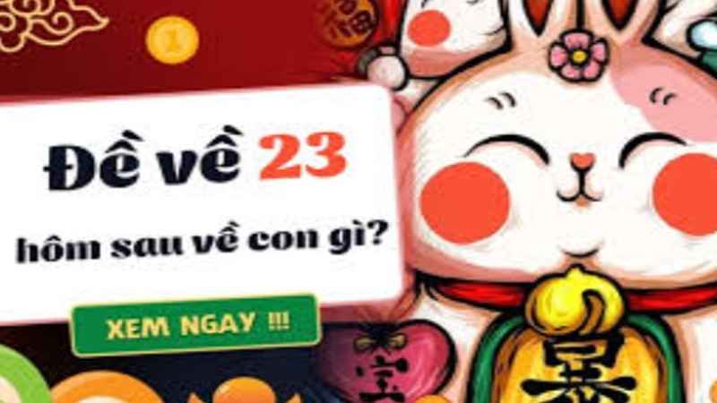 de-ve-23-hom-sau-danh-con-gi-1